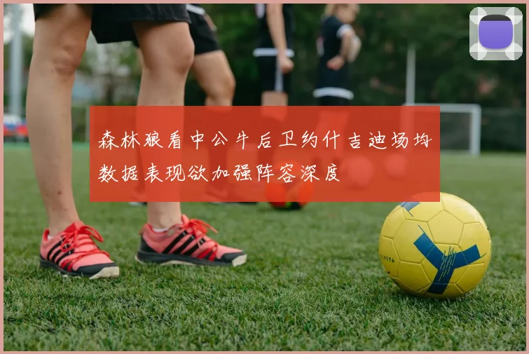 森林狼看中公牛后卫约什吉迪场均数据表现欲加强阵容深度